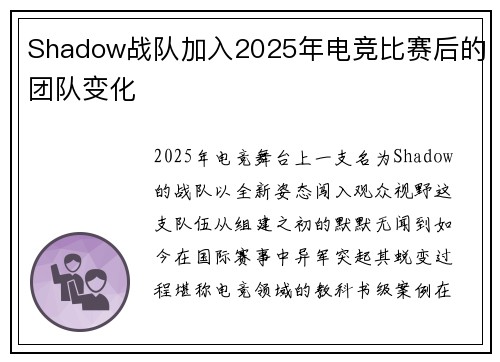 Shadow战队加入2025年电竞比赛后的团队变化